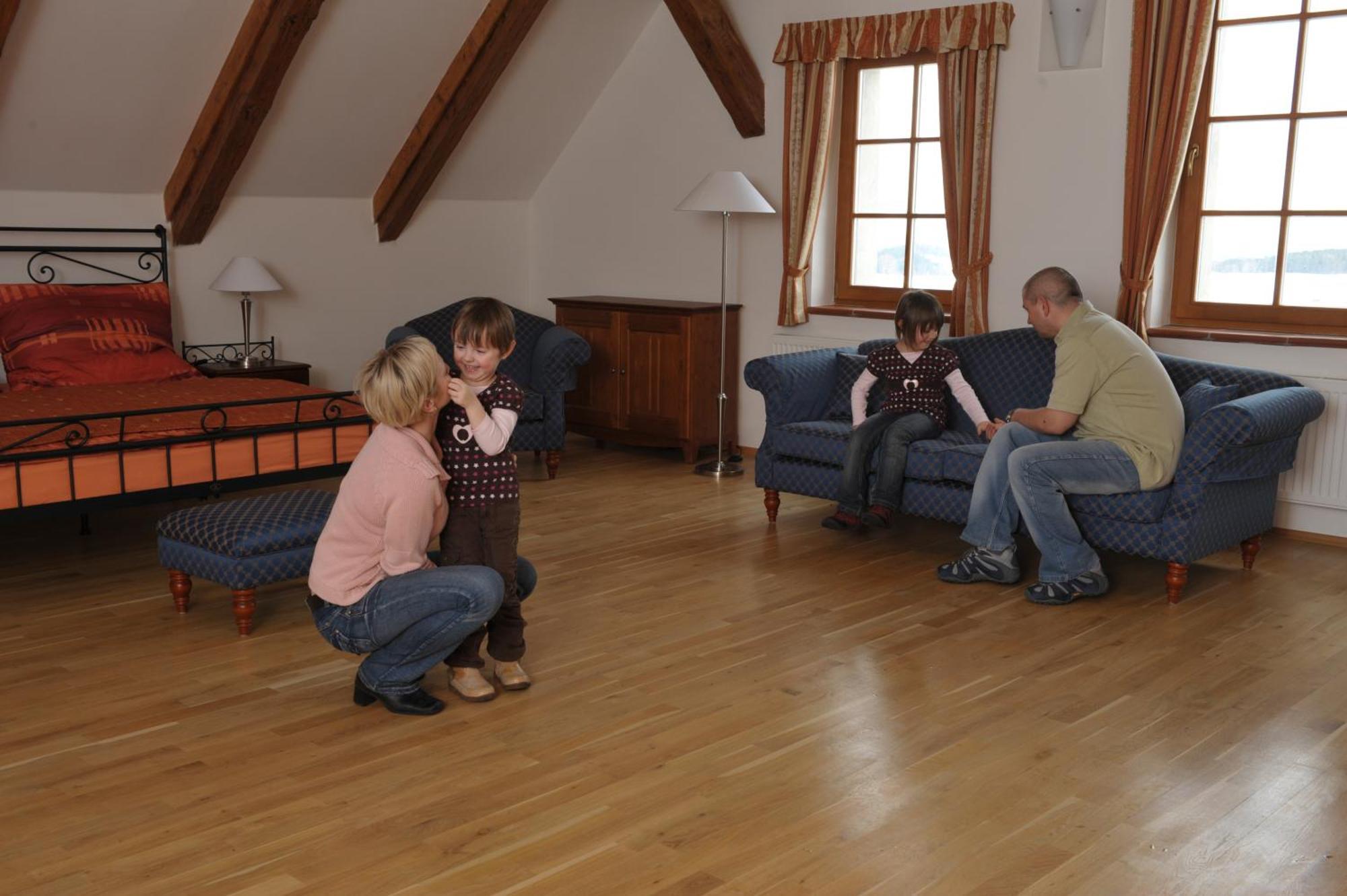 Hotelovy A Jezdecky Areal Dvur Krutenice Room photo