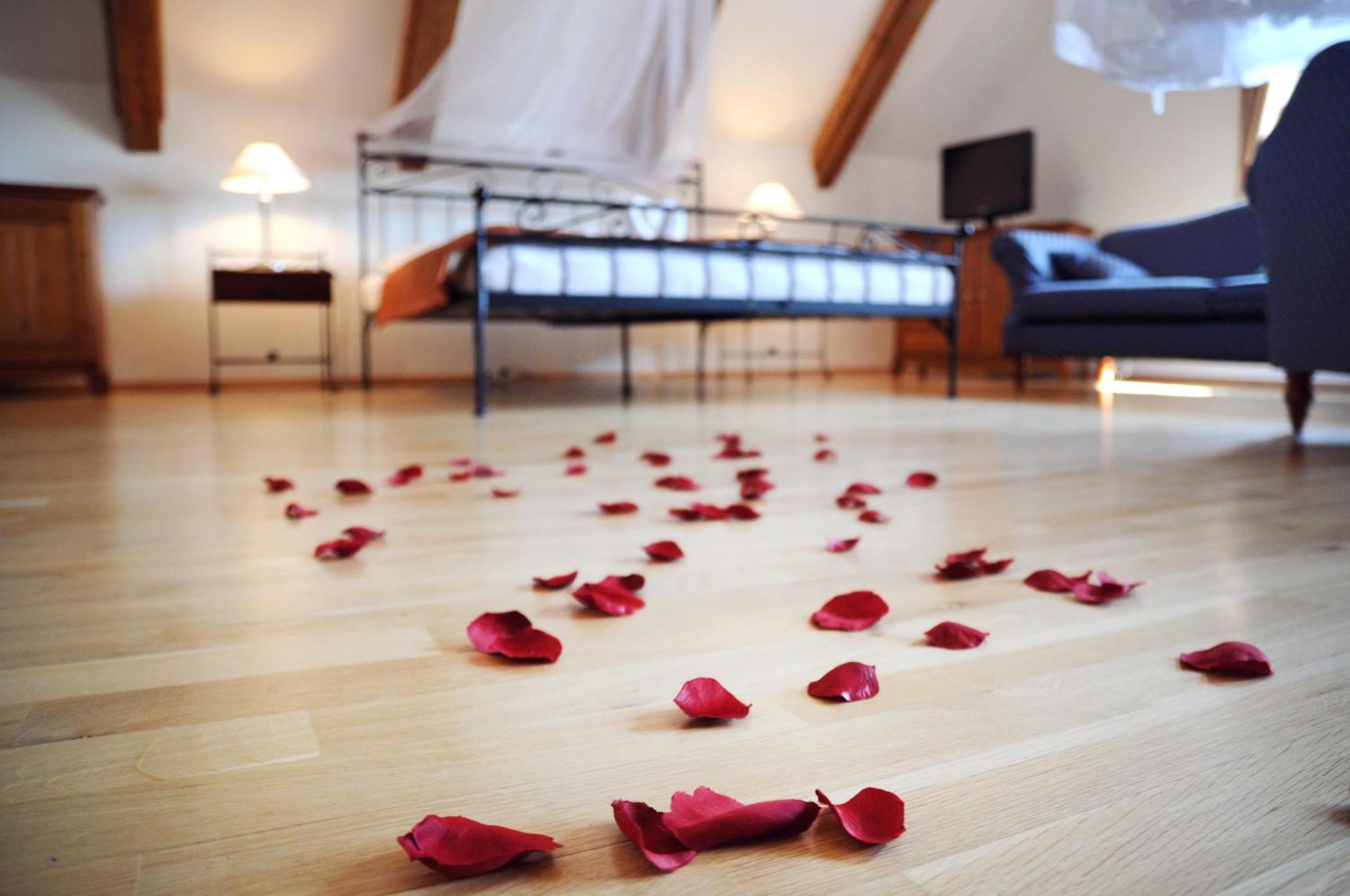 Hotelovy A Jezdecky Areal Dvur Krutenice Room photo