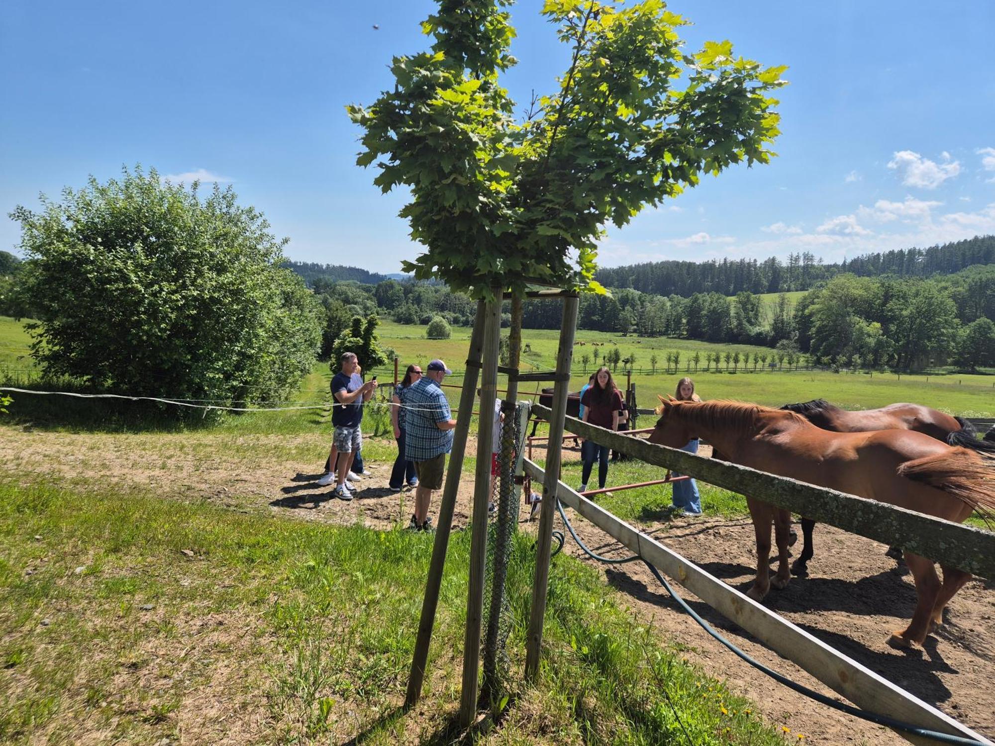 Hotelovy A Jezdecky Areal Dvur Krutenice Exterior photo