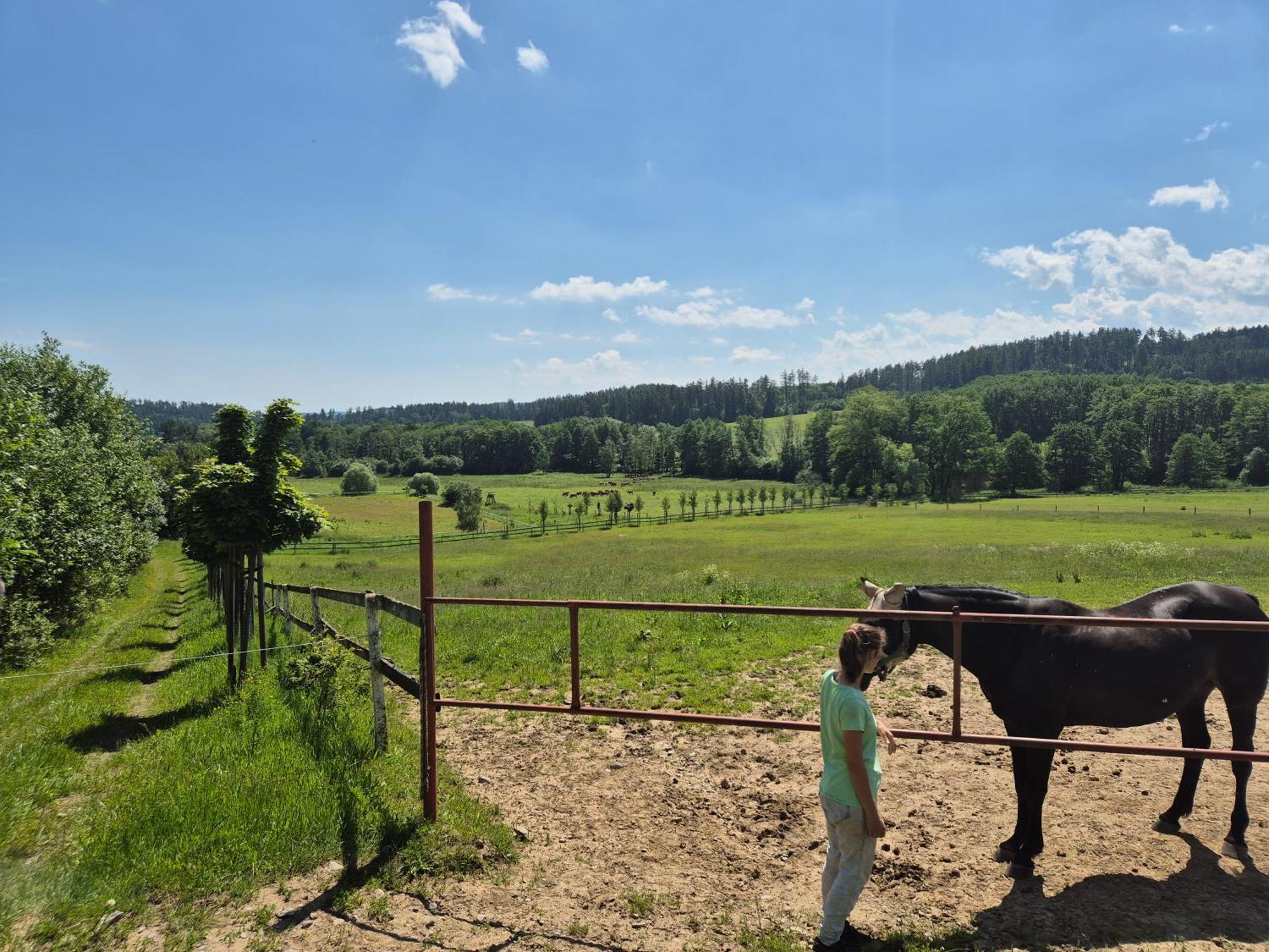 Hotelovy A Jezdecky Areal Dvur Krutenice Exterior photo